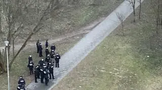Zwierzę biegało między blokami