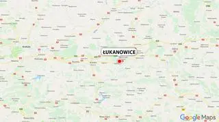 Zwierzę znaleziono przy drodze w Łukanowicach (Małopolskie) 