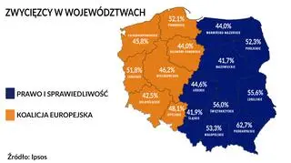 Zwycięzcy w województwach