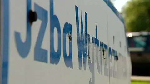 Ostrzegają przed polskimi izbami wytrzeźwień