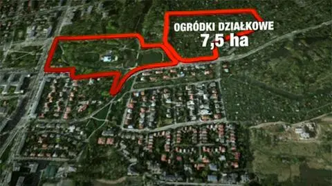 Czarno na białym