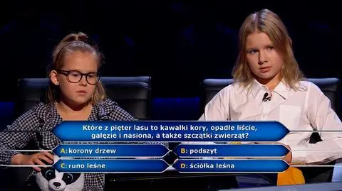 "Milionerzy". Pytania o Ligę Sprawiedliwości i piętra lasu