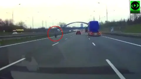 Katowice. Pieszy na A4, jezdnią szedł jak po chodniku