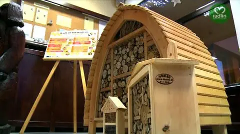 Radlin ma tężnię, każe za palenie śmieci i stawia hotele dla pszczół