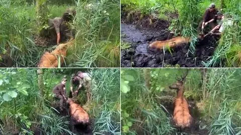 Wybierz najciekawsze wideo tygodnia w tvn24.pl