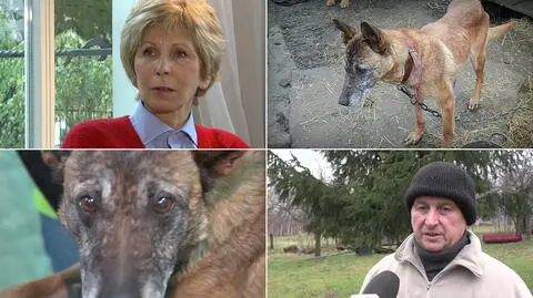 Posłanka PSL oburzona zachowaniem, wobec zwierząt, szefa wałbrzyskiego PSL