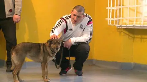 Psy spotykają się ze skazanymi