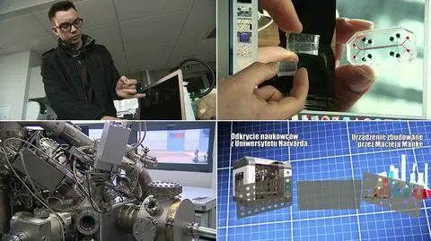 Chorzów. Maciej Mańka wyhodował ludzkie komórki na miniaturowym chipie