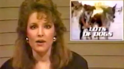 Palin z pudlem na głowie