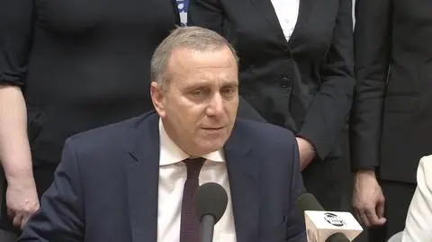 Schetyna zapowiada mobilizację PO