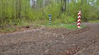 Wszyscy cudzoziemcy zostali przekazani w ramach umowy o readmisji stronie ukraińskiej
