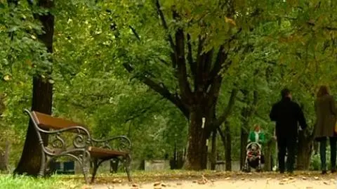 Był sobie park, będą apartamenty?