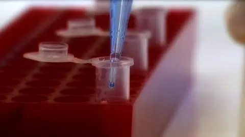 Dowód z DNA nie taki niepodważalny