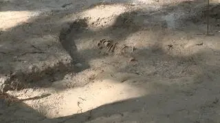 Szczątki polskiego żołnierza na Westerplatte