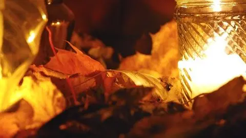 Komunikacją na trójmiejskie cmentarze