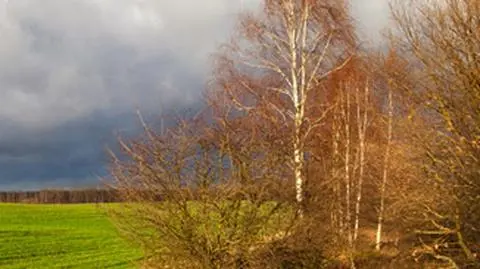 Słońce na zmianę z deszczem. Znów zagrzmi