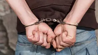 Mężczyzna przyznał się do winy