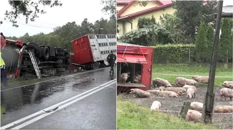 DK15 Niewierz: zderzenie hyundaia z ciężarówką. Dwie osoby nie żyją