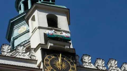 Koziołki w barwach Euro