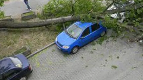 Niebezpiecznie na południu. Porywy wiatru do 90 km/h