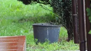 Mężczyzna zostawił granat w wiaderku z piaskiem