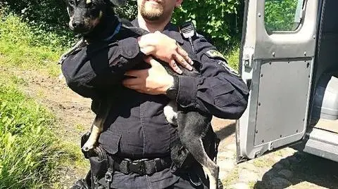 Zostawiła psa bez wody i karmy na kilka dni. Uratowali go policjanci