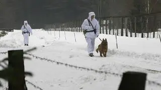 Patrol z psami na granicy polsko-białoruskiej 