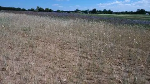 Polish government earmarked 800 million zloty to aid farmers