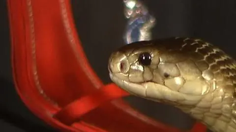 "Śmiertelnie" drogie szpilki