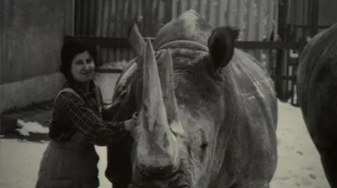 55 lat zoo w Chorzowie. "Każdy, kto mieszkał na Śląsku tu przyjeżdżał"
