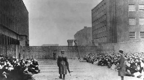 Czy w myśl ustawy o IPN problemy miałby Jan Karski? (materiał "Faktów" TVN z 1 lutego 2018)