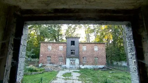 Jak Feniks z popiołów