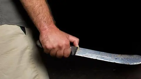 Pseudokibice z maczetami. "Chcieli pielęgnować ogródek"
