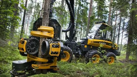 Harvestery pracują już w podlaskich lasach