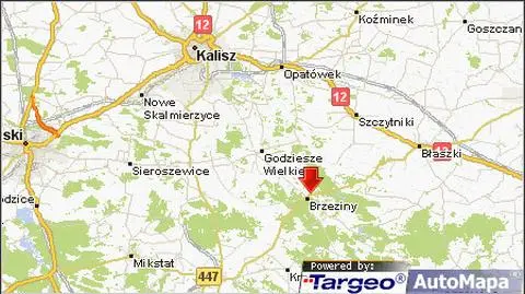 Wychowawczyni zgubiła w lesie trójkę czterolatków