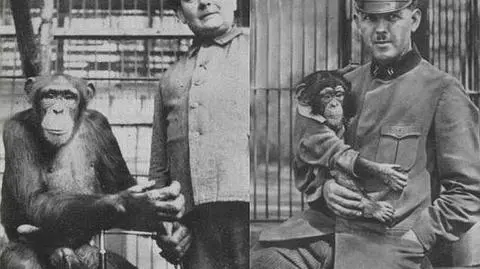 Burzliwe losy wrocławskiego zoo 