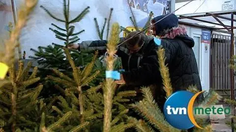Sztuczna czy prawdziwa? Jaką wybrać choinkę