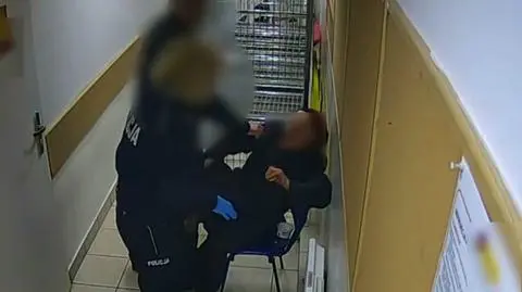 Two former police officers were sentenced on Monday for shoving and pushing an elderly lady during minor theft intervention