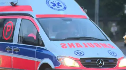 Pies rzucił się na ośmiolatkę i pogryzł jej twarz