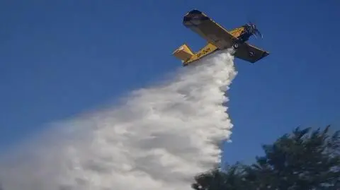 Pożar lasu w Wałbrzychu. Samoloty w akcji