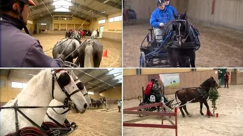 Galopem, ale dokładnie. 
Ruszyły zawody w powożeniu