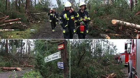 Synoptycy usłyszeli zarzuty za tragedię na obozie harcerskim