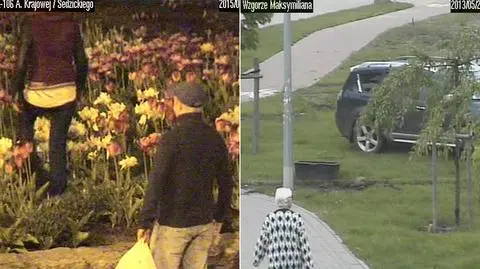Bezmyślnie niszczą zieleńce w Gdyni