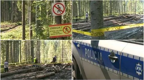 "Pięć ciosów w głowę tępym narzędziem". Sekcja zwłok 16-latka znalezionego przy szlaku