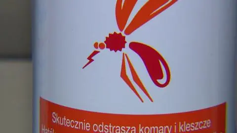 Jak walczyć z plagą komarów?