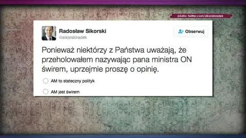 Rola "świra"  w polityce