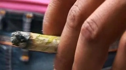 Chcą legalizacji, ale nie wiedzą czego