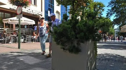 Sopot: donice z kwiatami na Monciaku