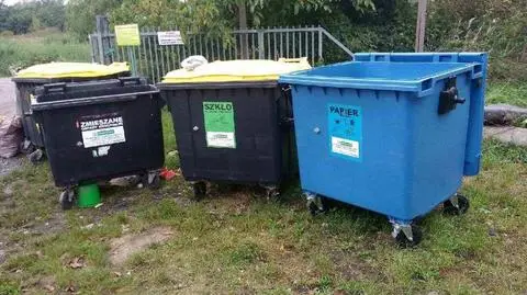 Wrocław: porzucił szczeniaki na śmierć. Ekostraż szuka oprawcy