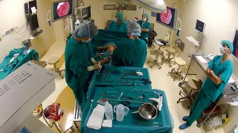Doktor polski